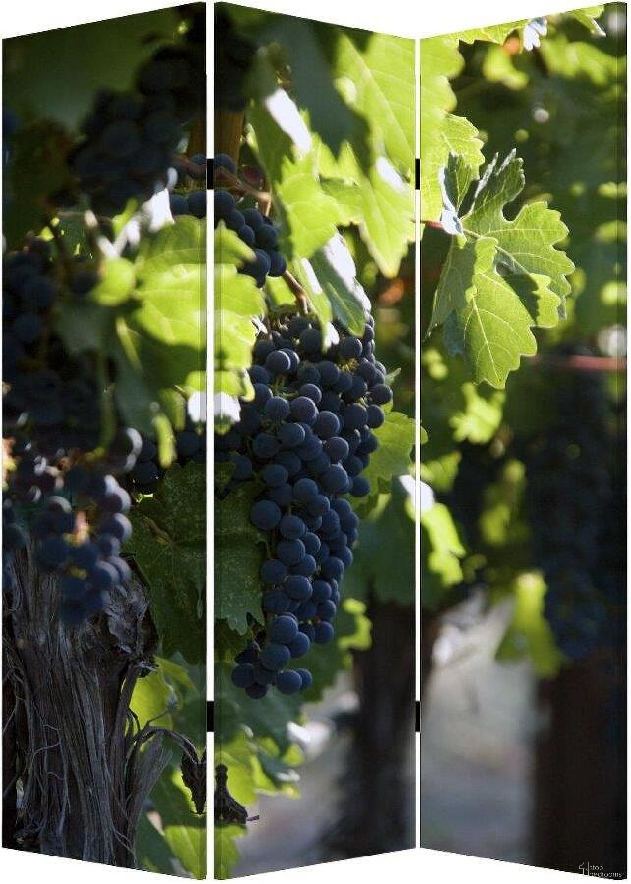 Homeroots Multi Color Wood Canvas Wine Country Screen