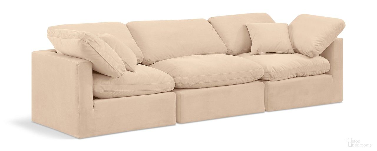 The appearance of Indulge 3 Piece Modular Sofa In Beige Velvet designed by Meridian in the modern / contemporary interior design. This beige velvet piece of furniture  was selected by 1StopBedrooms from Indulge Collection to add a touch of cosiness and style into your home. Sku: 147Beige-Armless;147Beige-Corner;147Beige-Corner. Material: Wood.