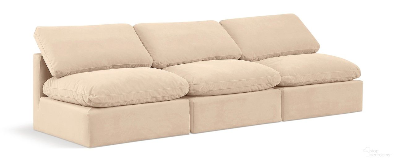 The appearance of Indulge 3 Piece Modular Sofa In Beige Velvet designed by Meridian in the modern / contemporary interior design. This beige velvet piece of furniture was selected by 1StopBedrooms from Indulge Collection to add a touch of cosiness and style into your home. Sku: 147Beige-Armless;147Beige-Armless;147Beige-Armless. Material: Wood.
