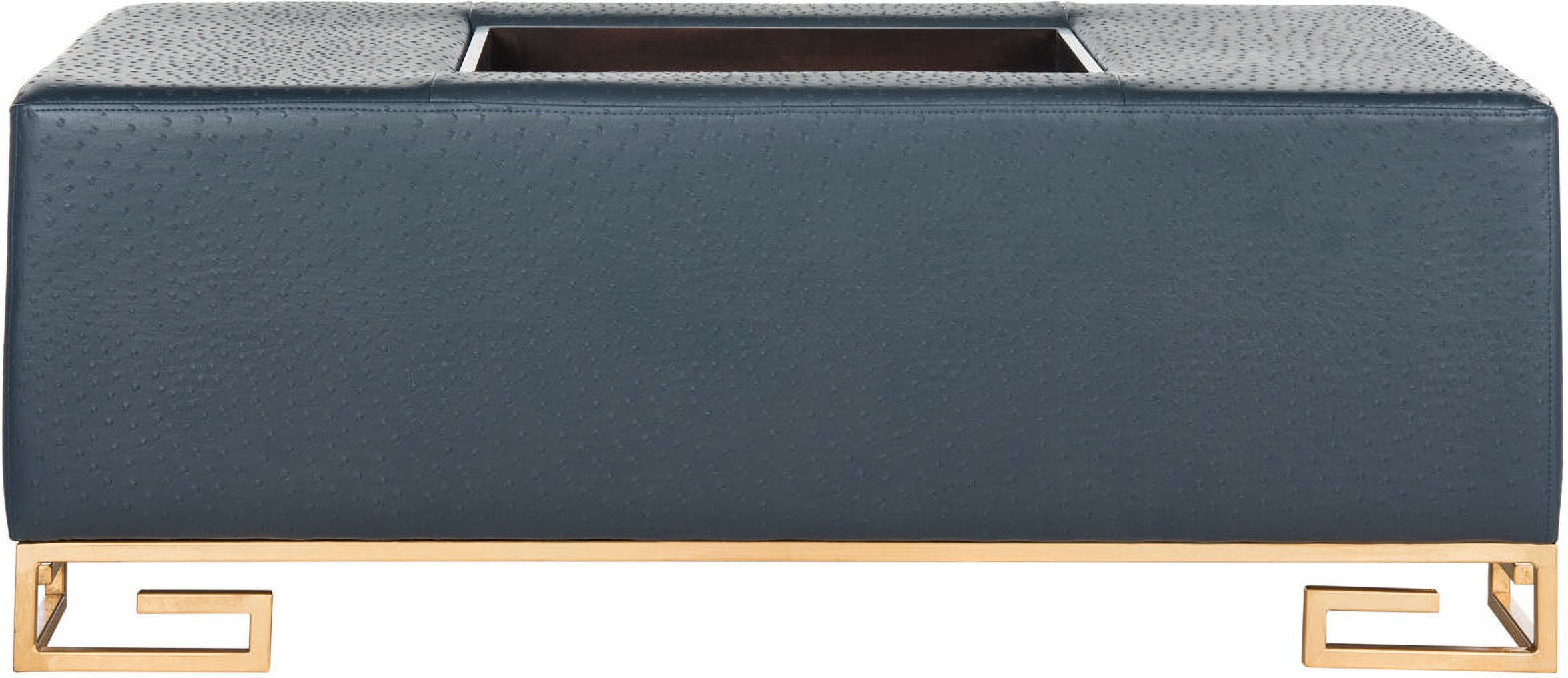 The appearance of Julian Faux Ostrich Tray Ottoman with Coffee Table in Navy and Gold designed by Safavieh in the modern / contemporary interior design. This navy/gold piece of furniture was selected by 1StopBedrooms from Julian Collection to add a touch of cosiness and style into your home. Sku: FOX6243B. Material: Wood.
