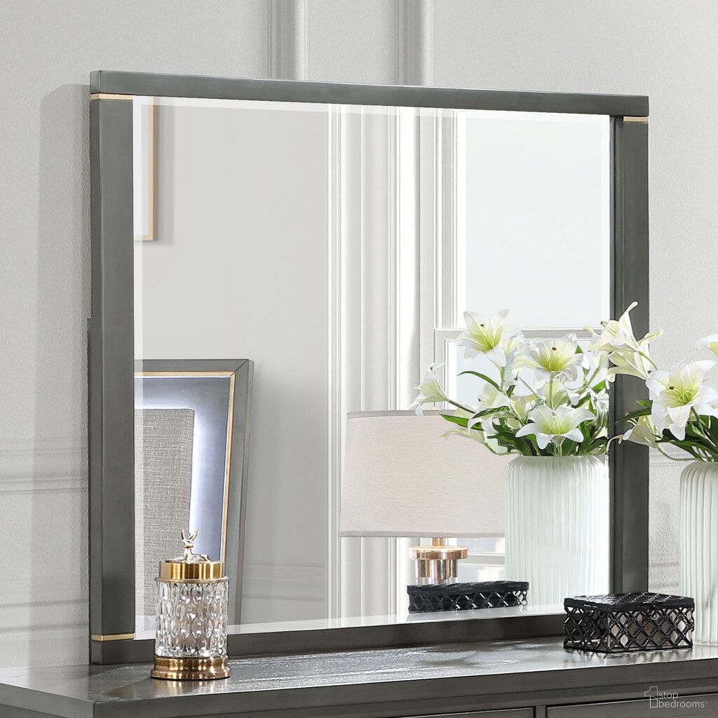 The appearance of Kieran Dresser Mirror Grey designed by Coaster in the transitional interior design. This grey piece of furniture  was selected by 1StopBedrooms from Kieran Collection to add a touch of cosiness and style into your home. Sku: 224744. Material: Wood.