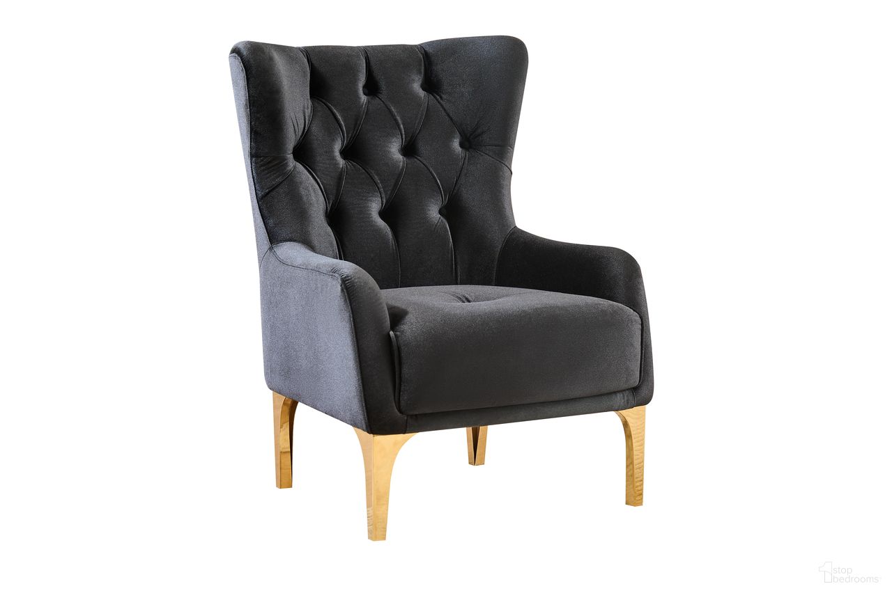 Lippa Chair In Black and Gold
