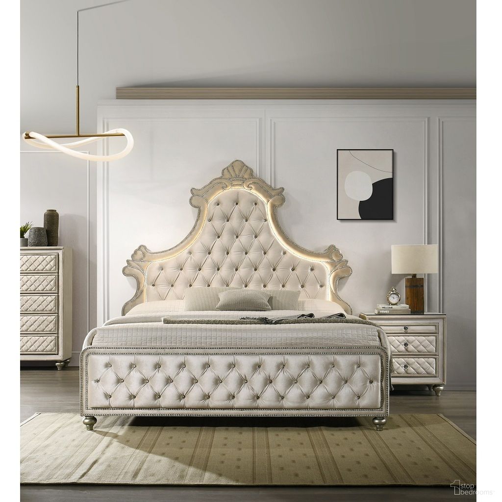 ACME & Co. Lucienne Bed