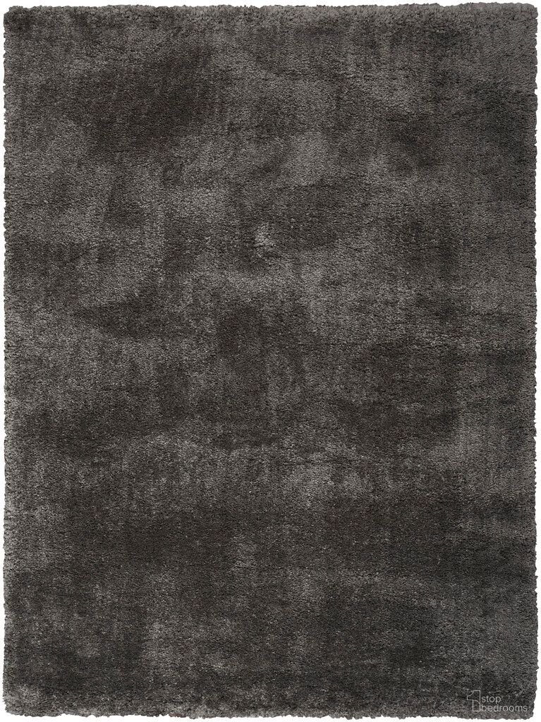 Luxurious Shag 4' x 6' Shag Indoor Rug In Grey