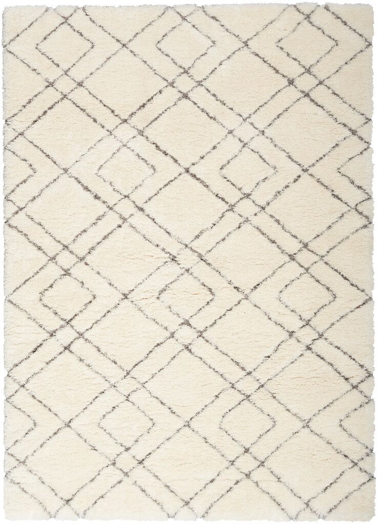 Luxurious Shag 4' x 6' Shag Indoor Rug In Ivory
