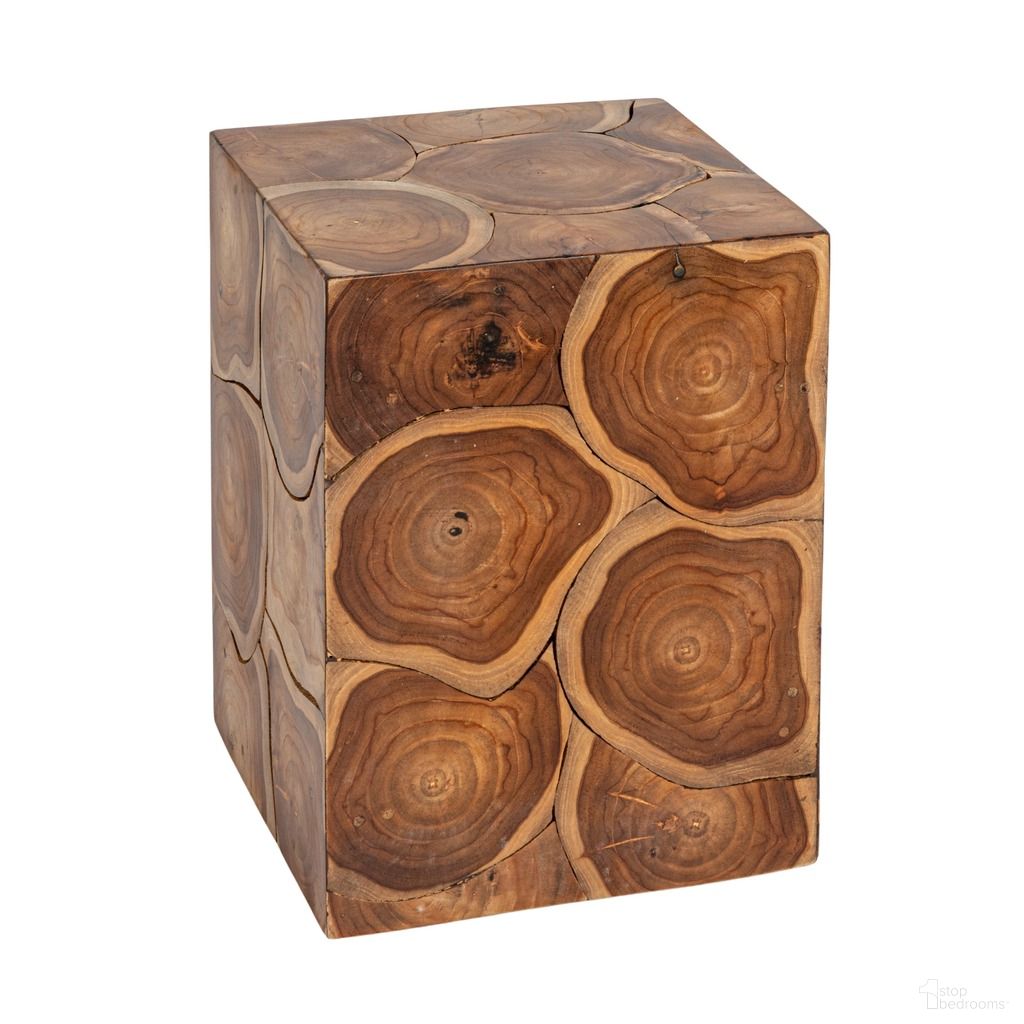 Mesa Square Teak Root Slice End Table In Natural