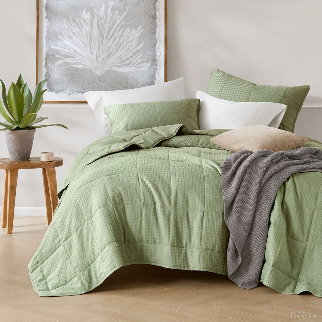 The appearance of Mina Waffle Weave Textured Quilt Set In Green designed by Olliix in the modern / contemporary interior design. This green piece of furniture was selected by 1StopBedrooms from Mina Collection to add a touch of cosiness and style into your home. Sku: AM14-0369. Material: Polyester. Bed Size: Full.