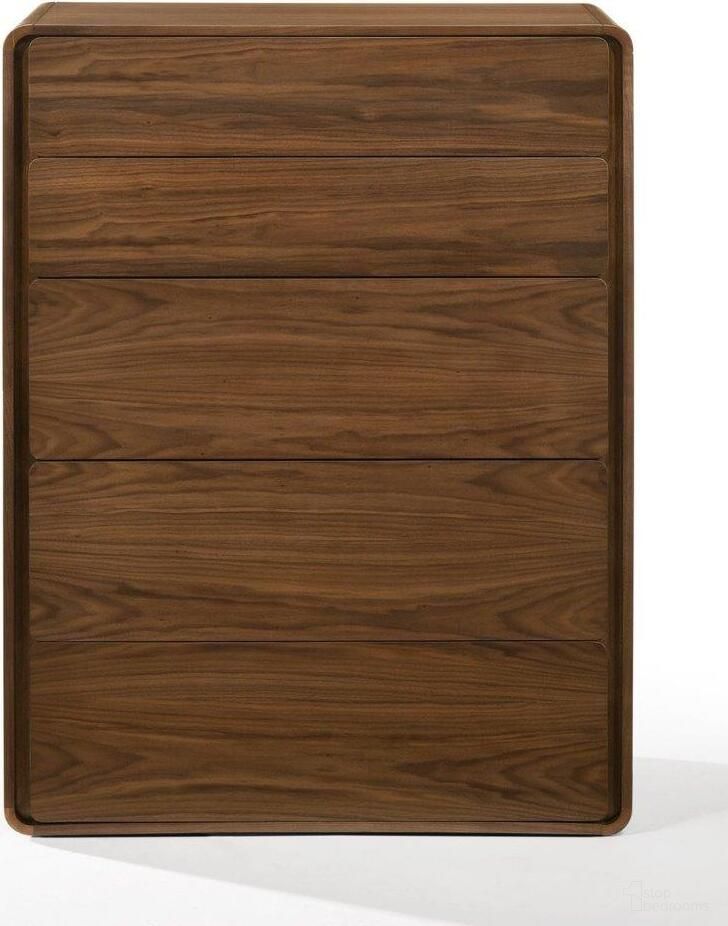The appearance of Modrest Dustin Modern Walnut Chest designed by VIG Furniture in the modern / contemporary interior design. This walnut piece of furniture  was selected by 1StopBedrooms from Modrest Dustin Collection to add a touch of cosiness and style into your home. Sku: VGMABR-99-CHEST. Material: Wood.