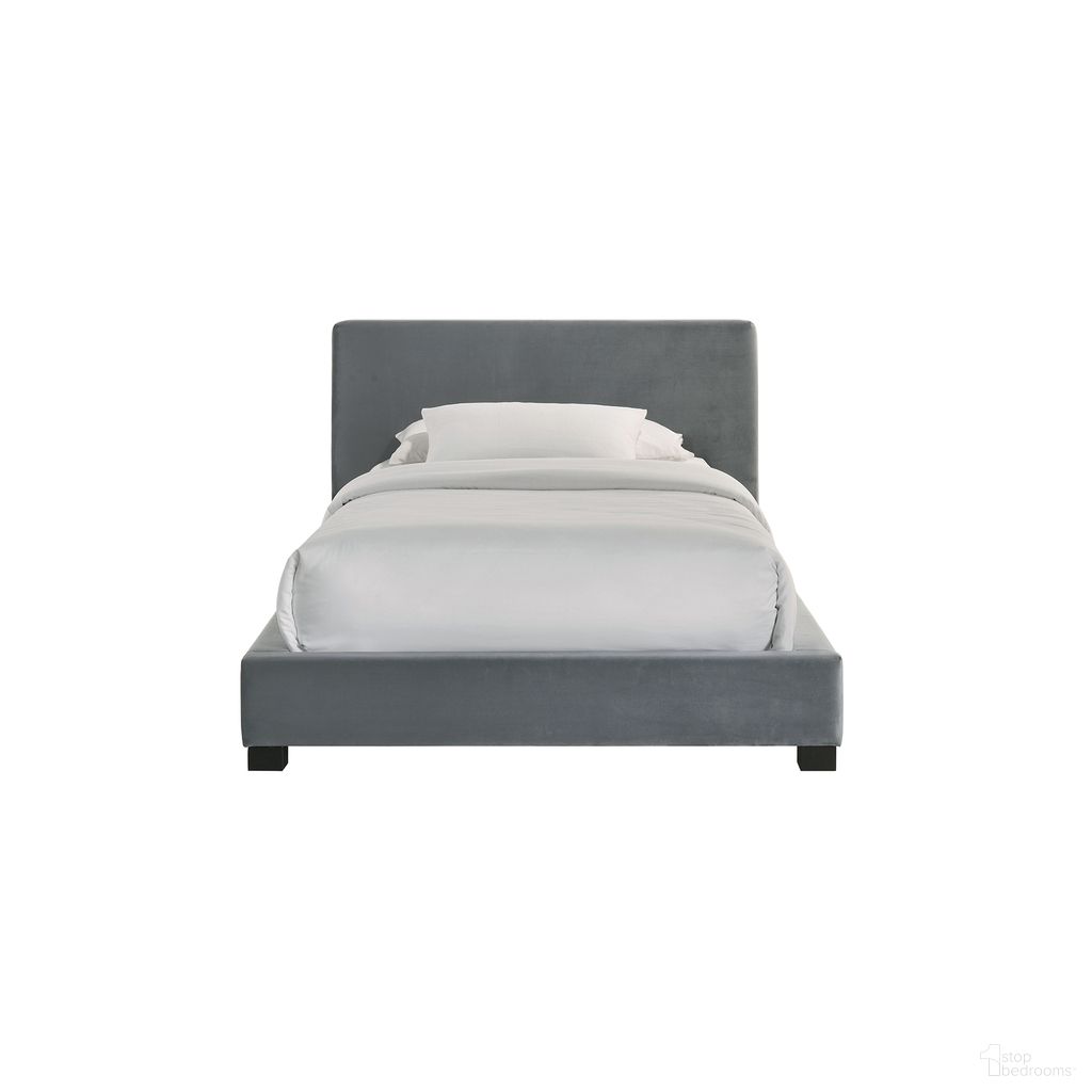 The appearance of Natalie Twin Upholstered Bed with Velvet In Grey and Espresso designed by Picket House in the glam interior design. This grey/espresso piece of furniture was selected by 1StopBedrooms from Natalie Collection to add a touch of cosiness and style into your home. Sku: UB-14870-3-TB. Material: Wood. Bed Size: Twin. Bed Type: Upholstered Bed.