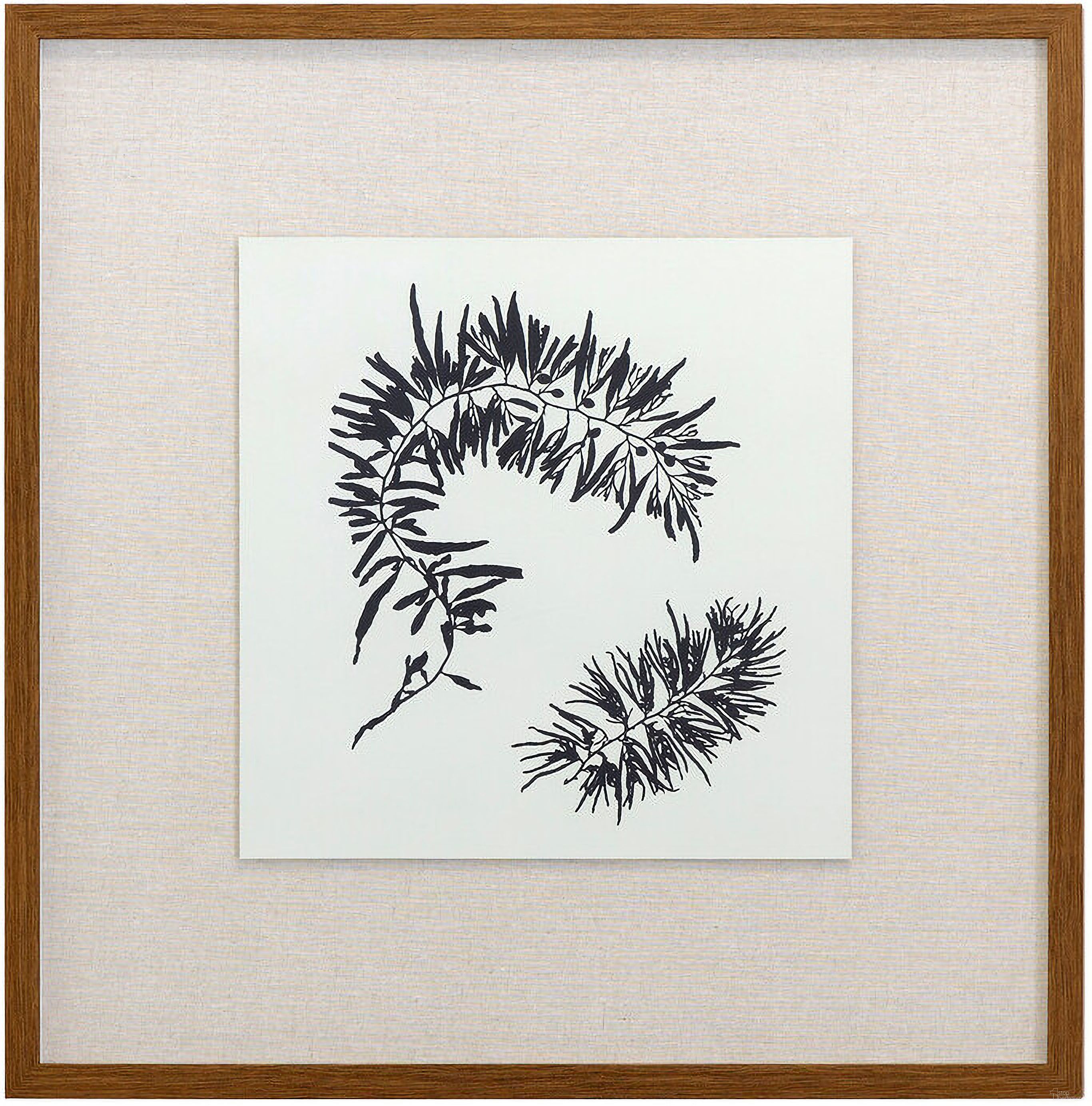 Naturalism I Wall Art In Black