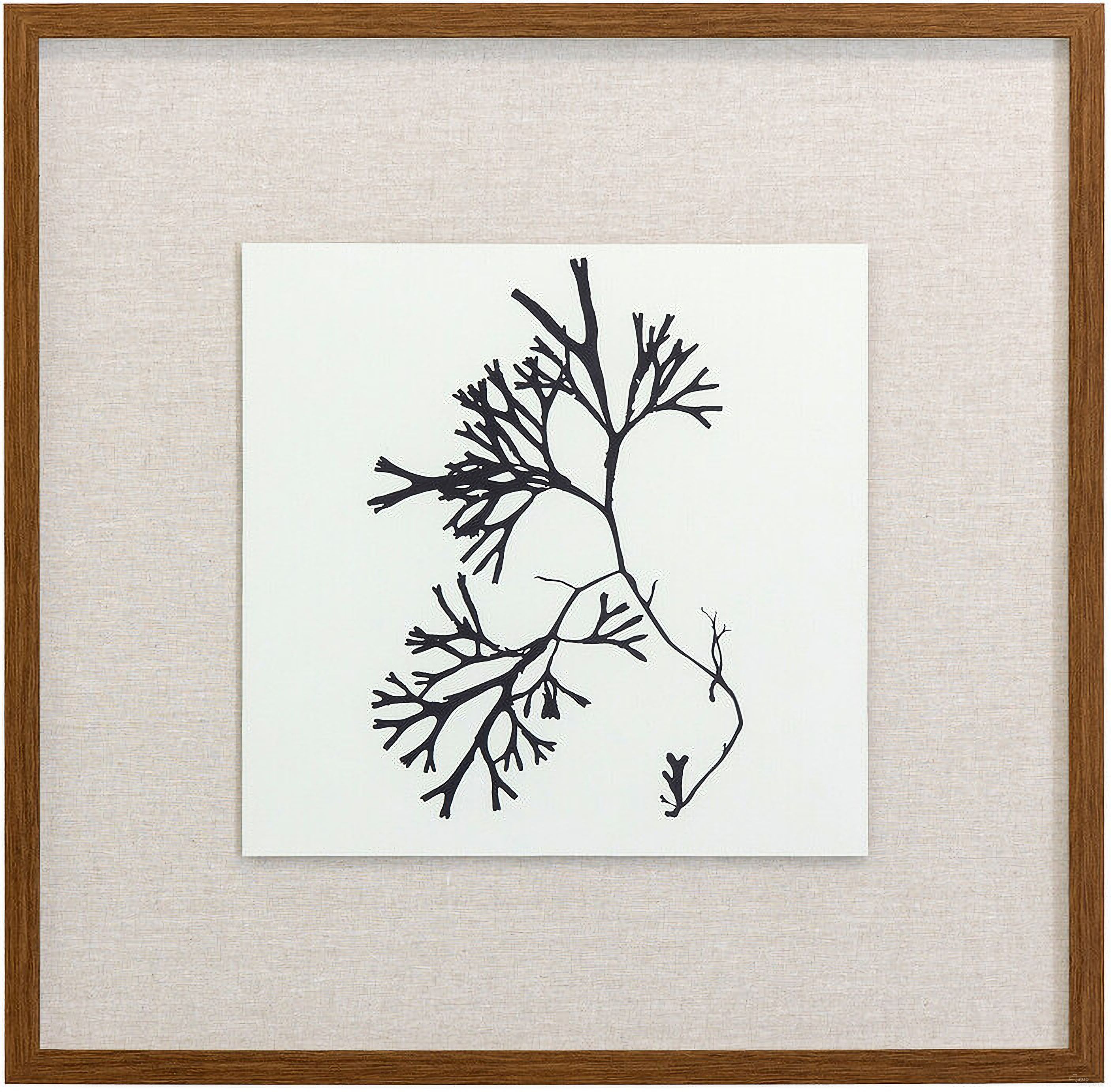 Naturalism III Wall Art In Black