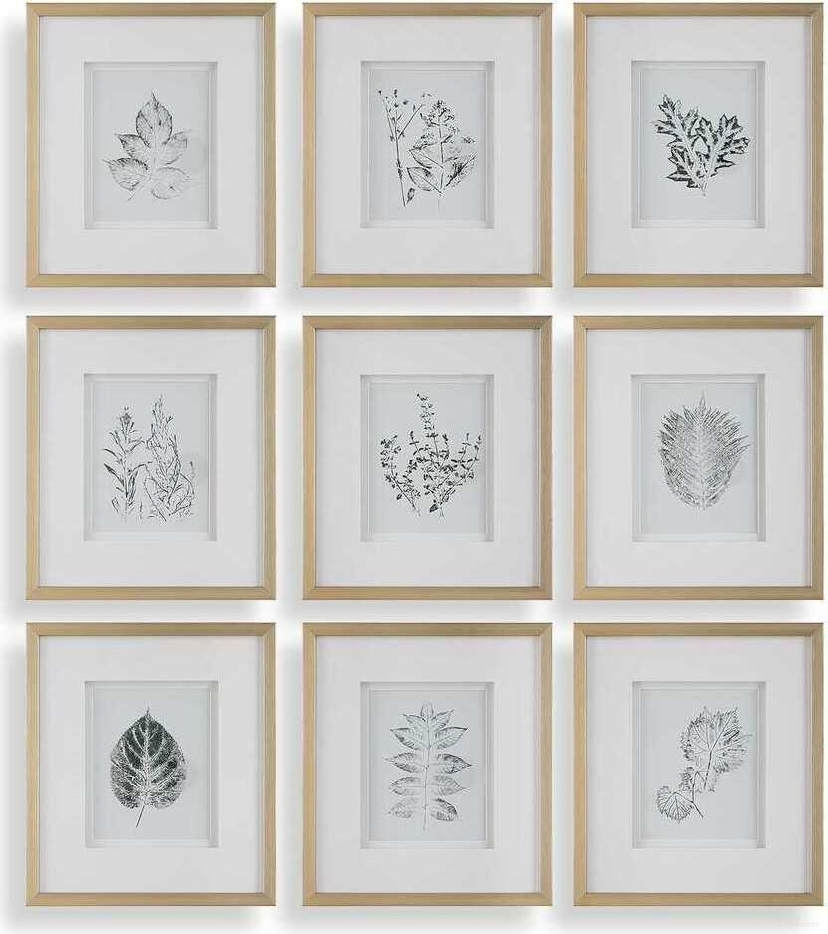 The appearance of Nature'S Script Framed Botanical Prints Set of 9 In Green and White designed by Uttermost in the traditional interior design. This green and white piece of furniture was selected by 1StopBedrooms from Nature'S Collection to add a touch of cosiness and style into your home. Sku: 32449. Material: Plastic.