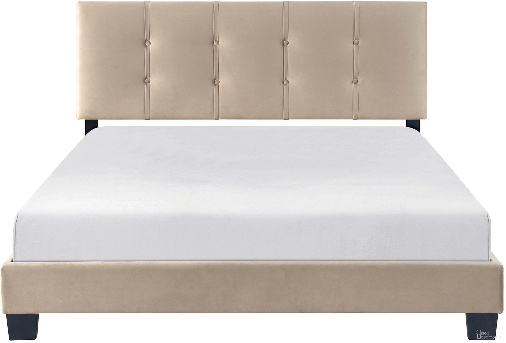 The appearance of Newberry Queen Platform Bed In Brown designed by Homelegance in the modern / contemporary interior design. This brown piece of furniture was selected by 1StopBedrooms from Newberry Collection to add a touch of cosiness and style into your home. Sku: 1350BR-1. Bed Type: Platform Bed. Bed Size: Queen. Material: Velvet.