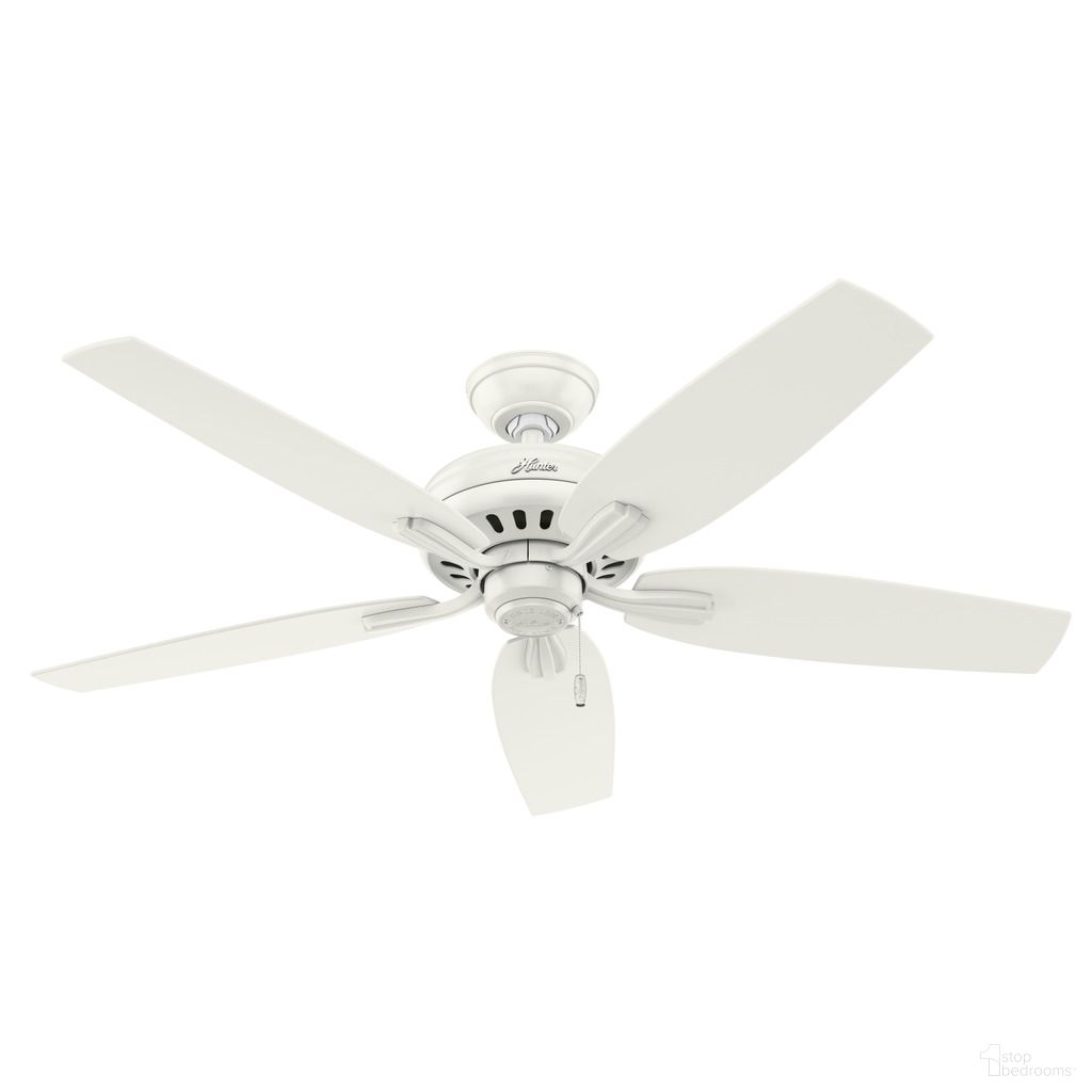 Newsome 52 Inch Ceiling Fan and Pull Chain In Fresh White