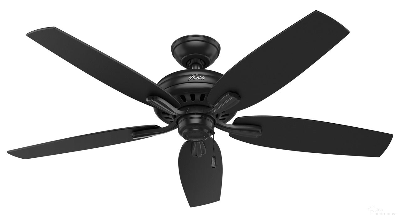 Newsome 52 Inch Damp Rated Ceiling Fan and Pull Chain In Matte Black
