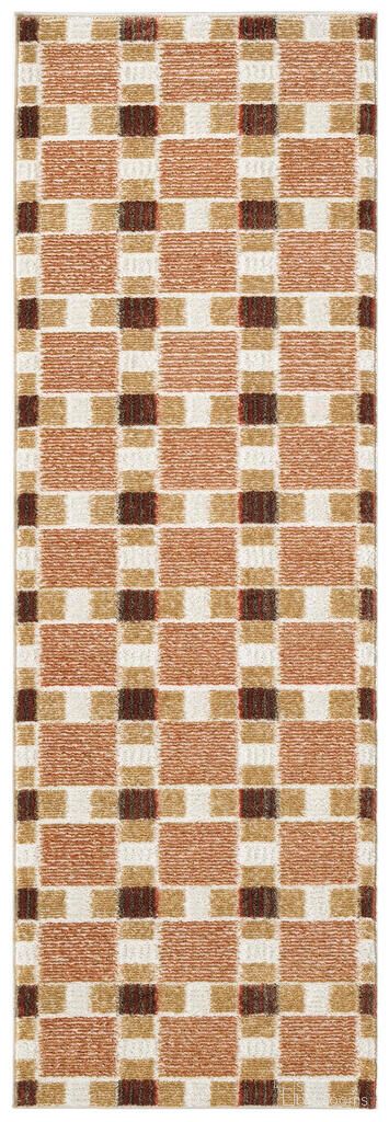 The appearance of Nordic Modern 2' x 6' Modern Indoor Rug In Rust designed by Nourison in the modern / contemporary interior design. This rust piece of furniture was selected by 1StopBedrooms from Nordic Collection to add a touch of cosiness and style into your home. Sku: 841491149614. Material: Polyester.