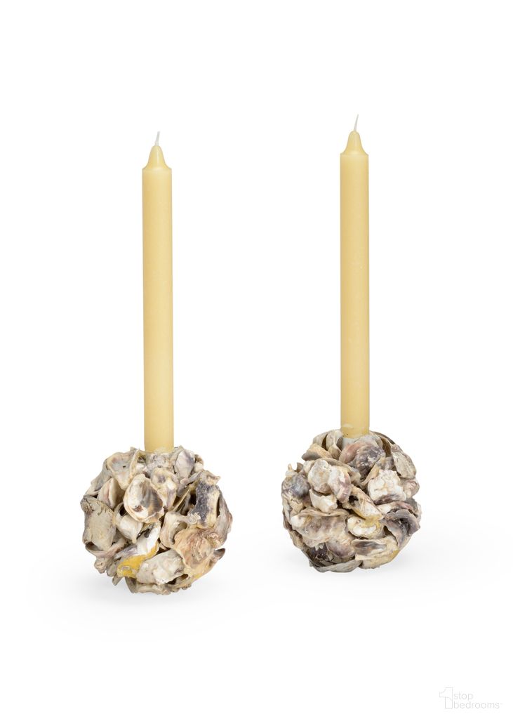 Oyster Shell Candleholder (Pr) In Gray and Cream