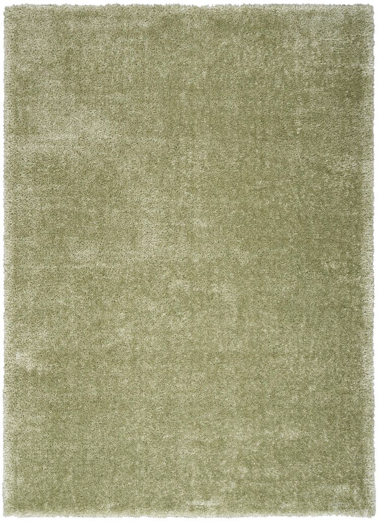 Pacific Shag 5'3" x 7'3" Indoor Rug In Green