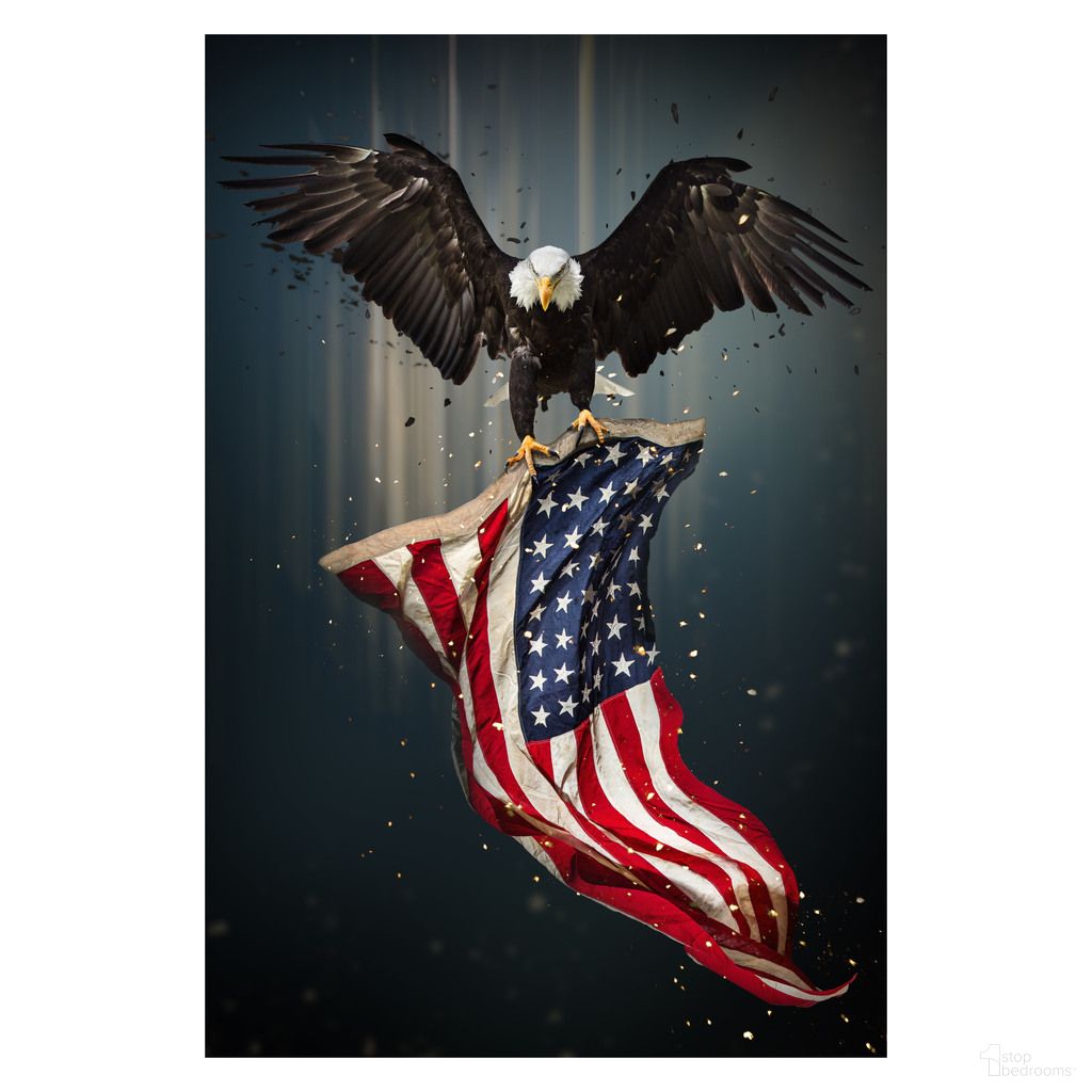Patriot Frameless Tempered Glass Wall Art In Multi