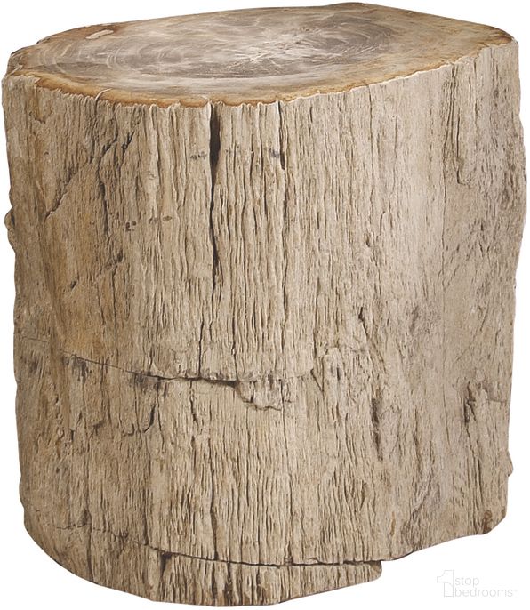 Petrified Wood Side Table