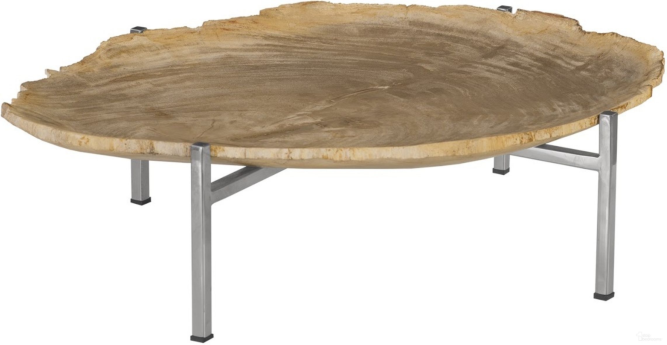 Petrified Wood Tray