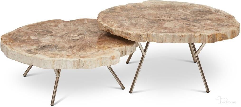Relique Lastra Coffee Table Set Of 2 In Polished Stainless Steel Legs And Natural Light Top
