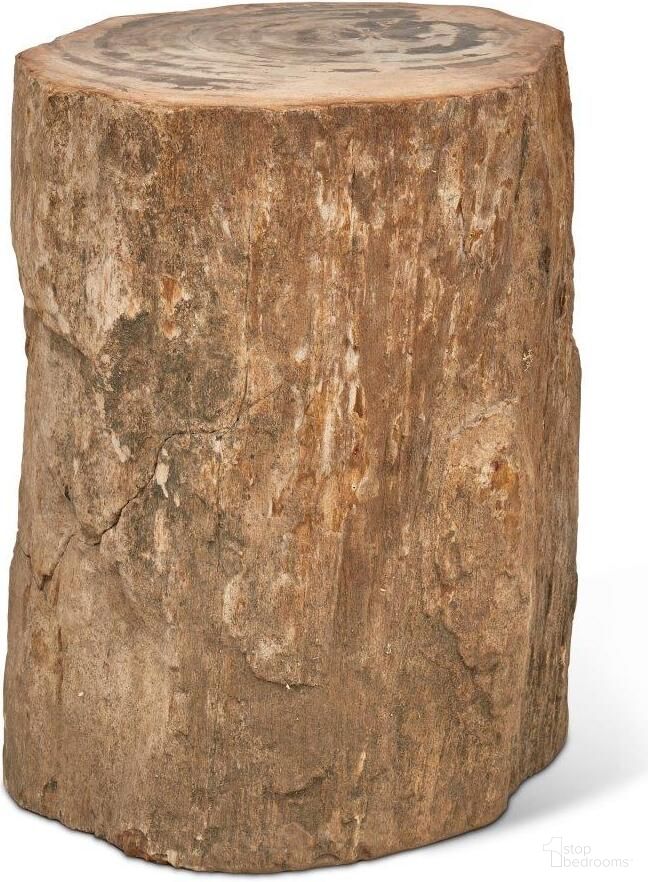 Relique Petrified Wood Stump In Top Polished And Natural Light