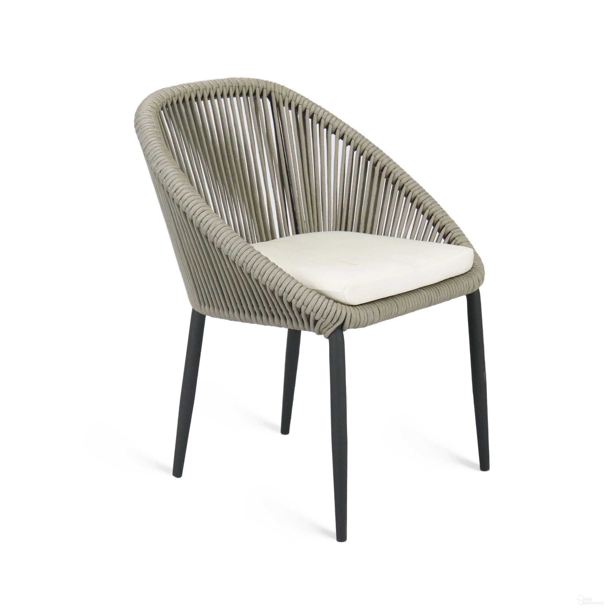 Rodona Dining Armchair with Sunbrella Cushion In Gray