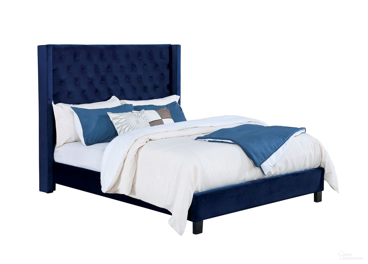 Ryleigh Queen Bed In Navy