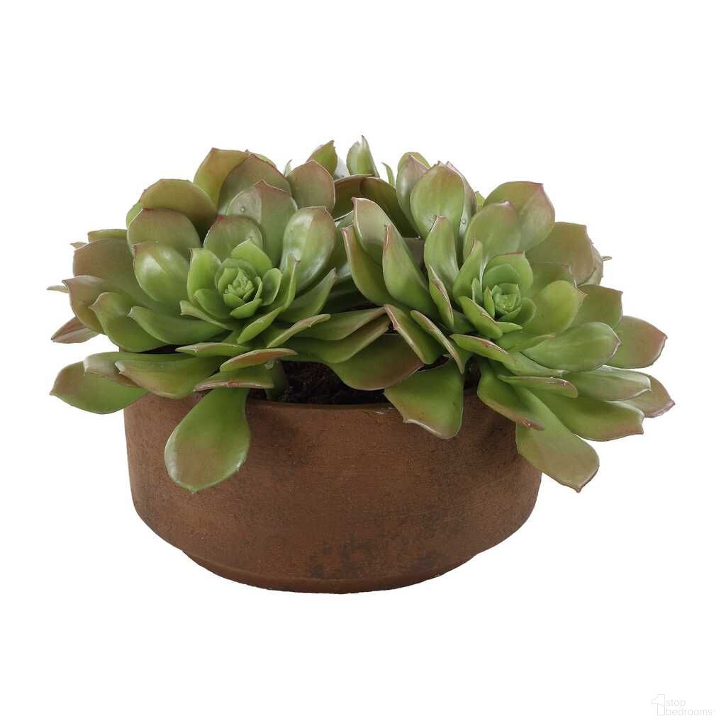 The appearance of Sable Succulent Accent In Pot In Brown and Green designed by Uttermost in the modern / contemporary interior design. This brown and green piece of furniture was selected by 1StopBedrooms from Sable Succulent Collection to add a touch of cosiness and style into your home. Sku: 60267. Material: Plastic.