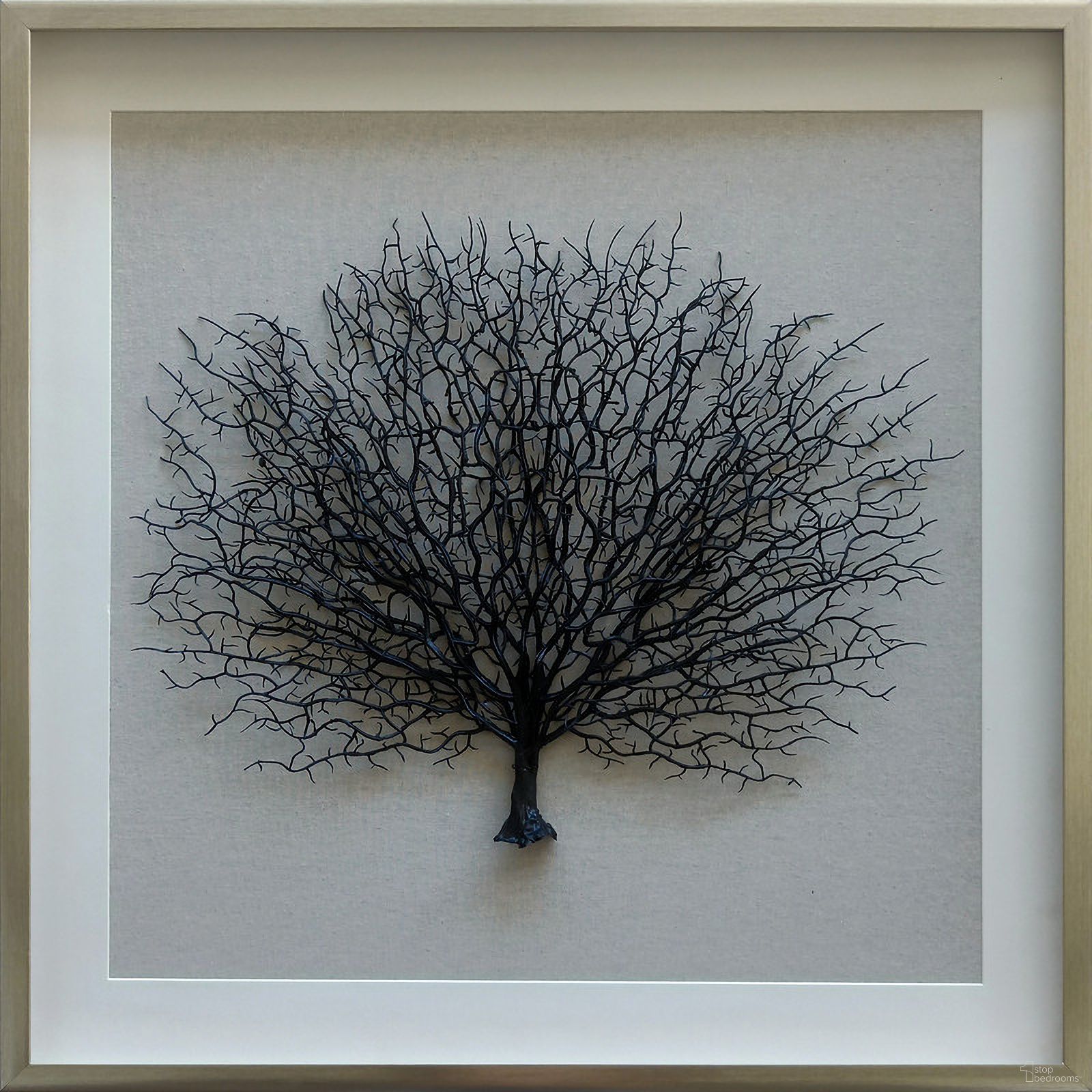 Sea Fan Shadow I Wall Art In Black