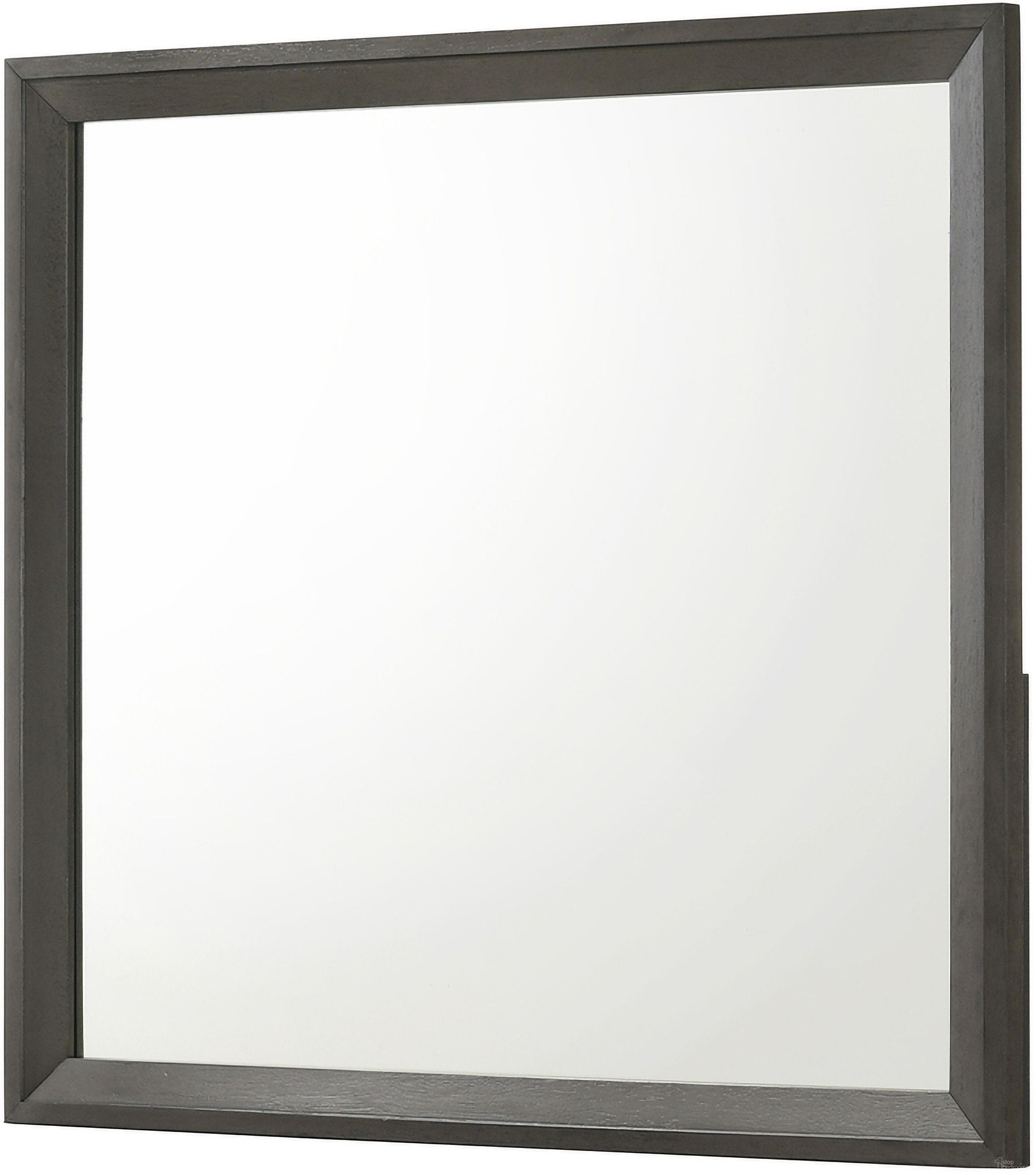 Sharpe Dresser Mirror In Brown
