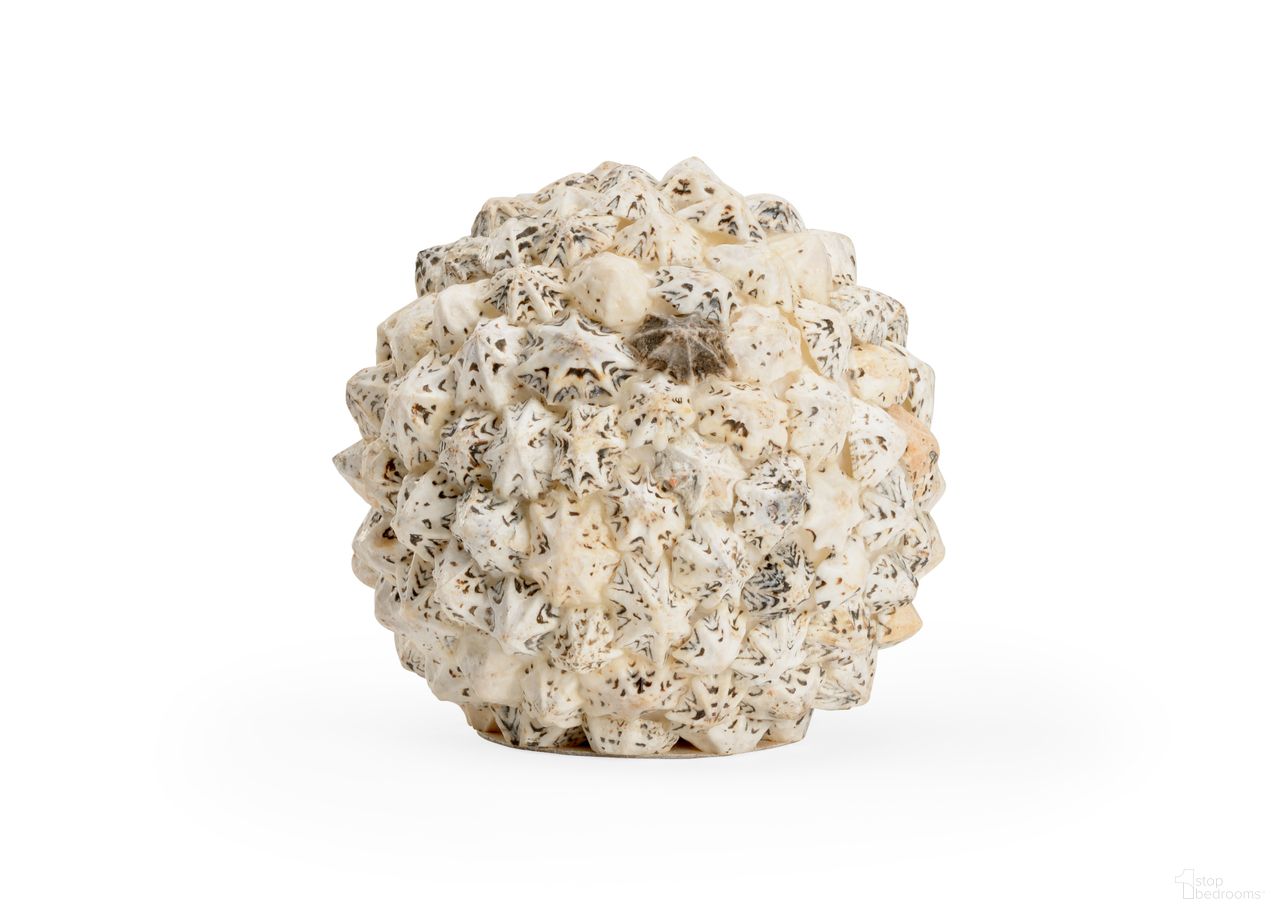 Shell Ball Large In Black and Cream