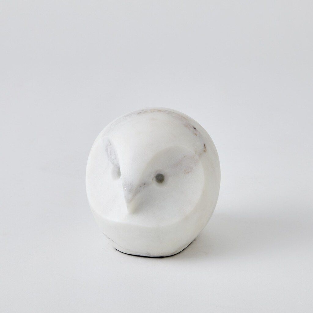 Sitting Owl In White