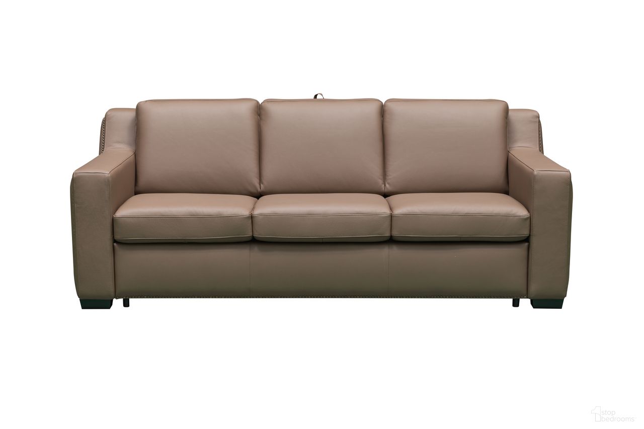 The appearance of Skyline Alaves Italian Leather Queen Sleeper Sofa In Brown designed by Klaussner Home Furnishings in the modern / contemporary interior design. This brown piece of furniture  was selected by 1StopBedrooms from Skyline Collection to add a touch of cosiness and style into your home. Sku: 25117-3SB. Material: Leather.