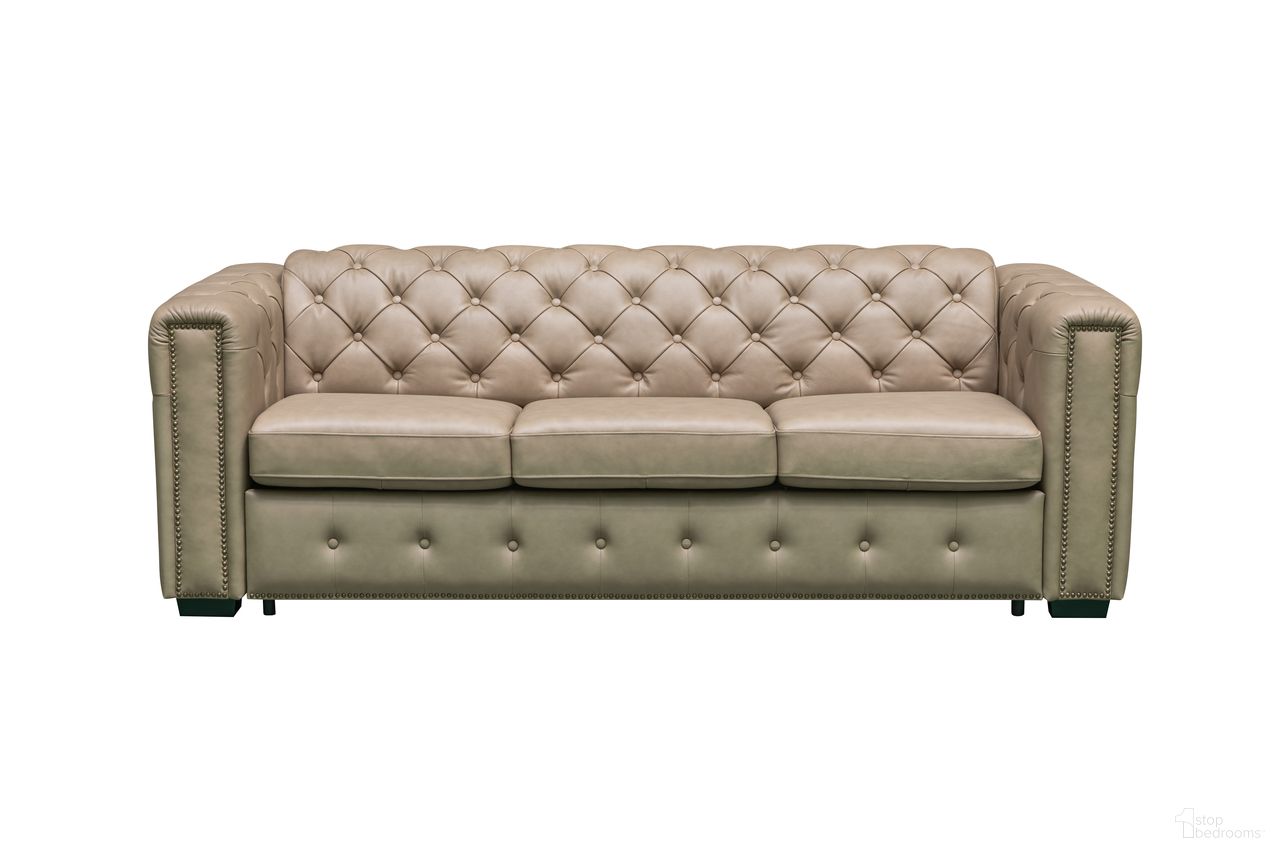 Skyline Callas Italian Leather Queen Sleeper Sofa In Beige