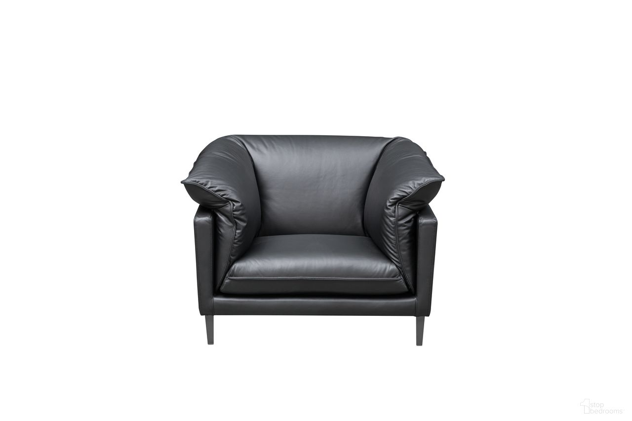 The appearance of Skyline Dolce Stationary Leather Chair with Cushion Arms In Black designed by Klaussner Home Furnishings in the modern / contemporary interior design. This black piece of furniture was selected by 1StopBedrooms from Skyline Collection to add a touch of cosiness and style into your home. Sku: F011-1.25P. Material: Leather.