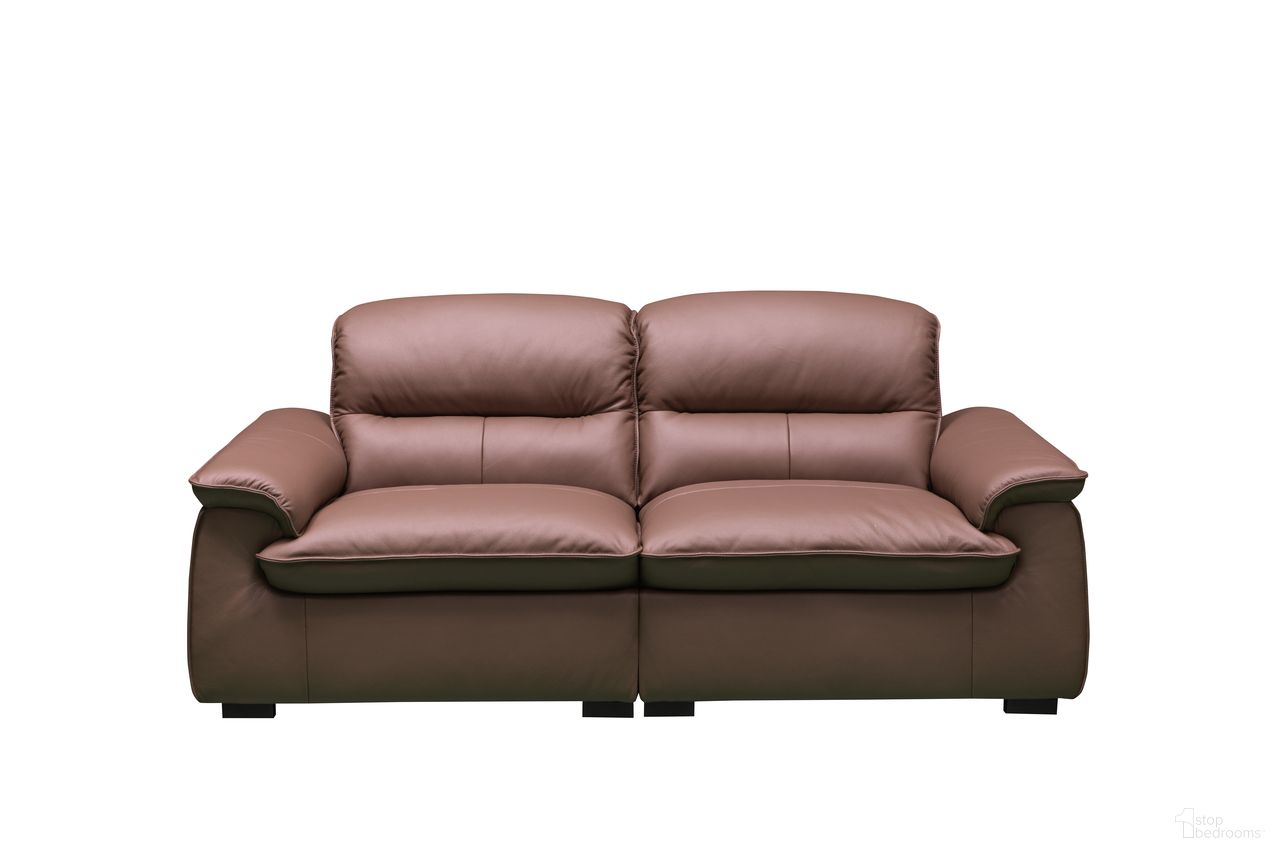 The appearance of Skyline Leather Stationary Loveseat In Brown designed by Klaussner Home Furnishings in the modern / contemporary interior design. This brown piece of furniture  was selected by 1StopBedrooms from Skyline Collection to add a touch of cosiness and style into your home. Sku: F2503-L1.5P;F2503-R1.5P. Material: Leather.