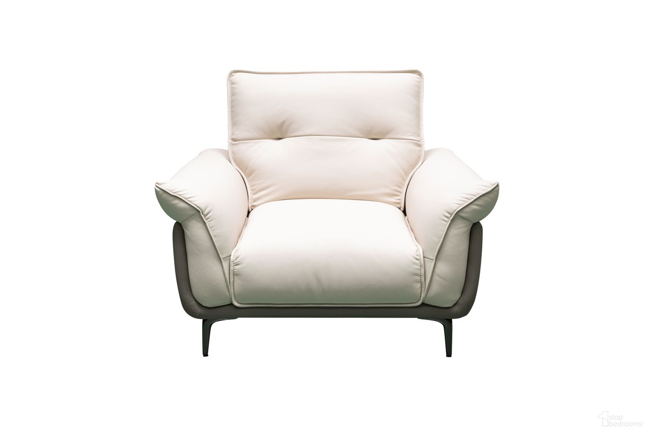 The appearance of Skyline Vento Leather Accent Chair In Ivory designed by Klaussner Home Furnishings in the modern / contemporary interior design. This ivory piece of furniture was selected by 1StopBedrooms from Skyline Collection to add a touch of cosiness and style into your home. Sku: SH530-1.25P. Material: Top Grain Leather.