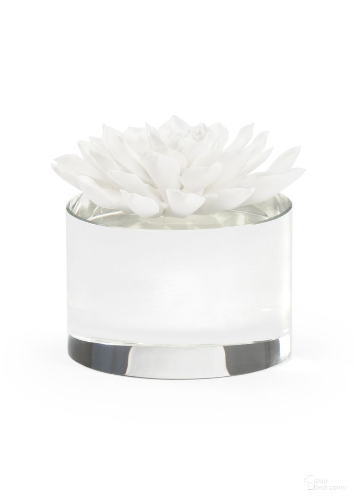 Succulent Sculpture In White and Cream