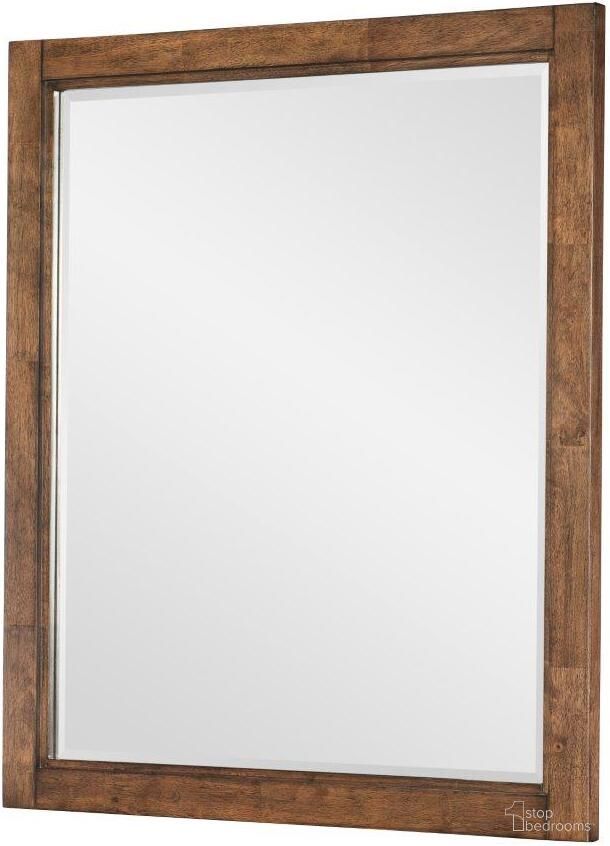 The appearance of Summer Camp Vertical Beveled Mirror In Tree House Brown designed by Legacy Classic Kids in the rustic / southwestern interior design. This brown piece of furniture was selected by 1StopBedrooms from Summer Collection to add a touch of cosiness and style into your home. Sku: 0832-0100V. Material: Rubberwood.