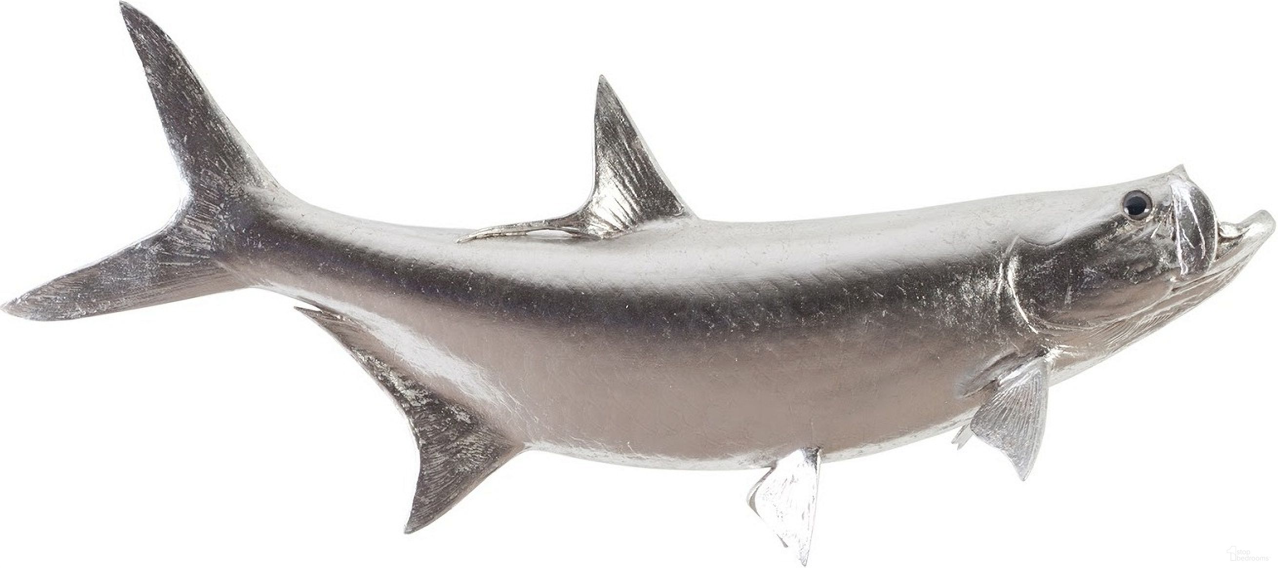 Tarpon Fish