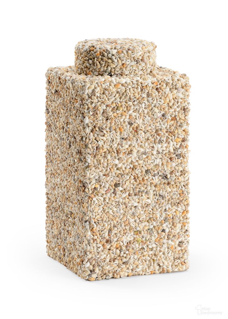 Tea Caddy - Shells In Gray and Cream