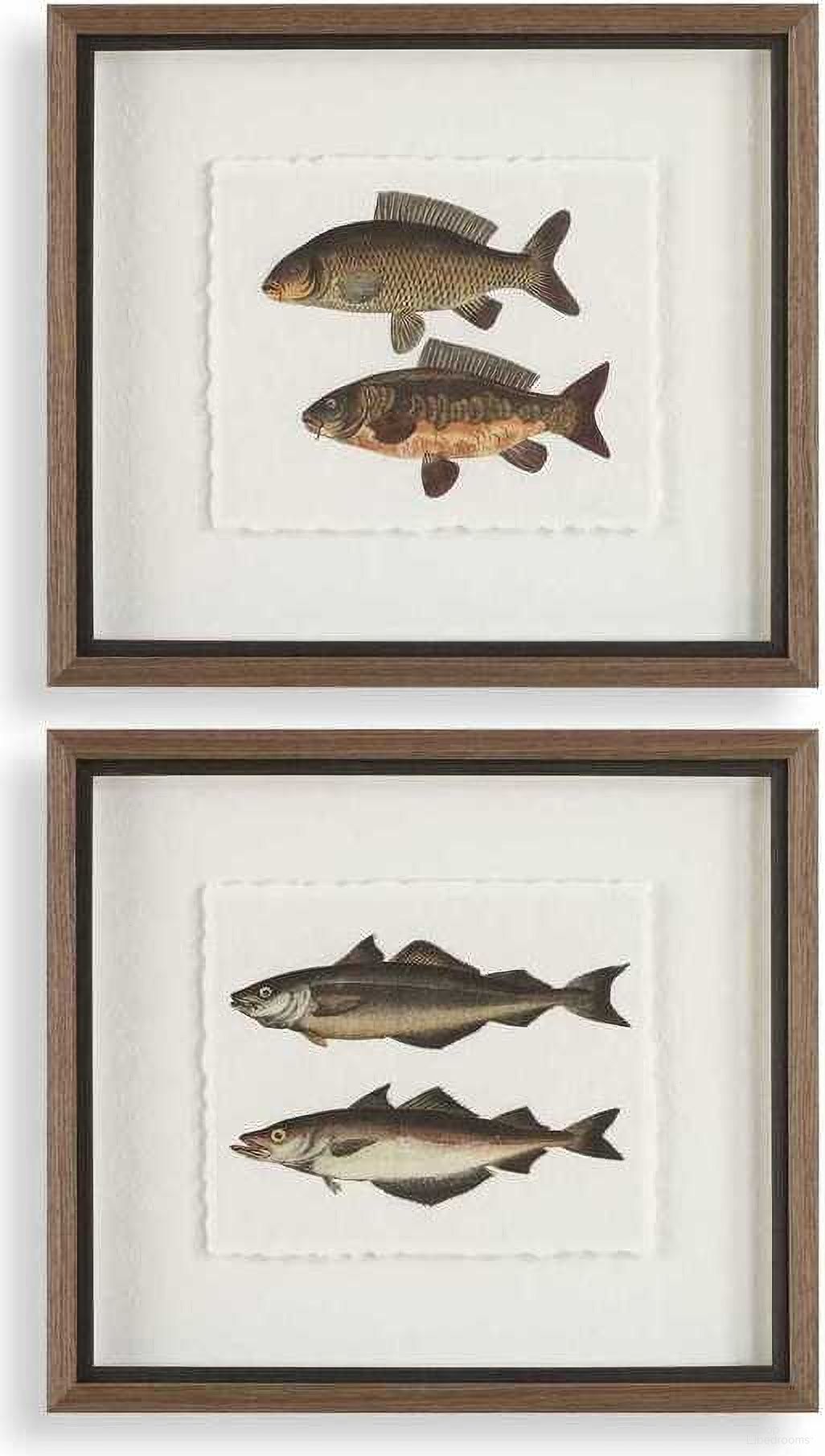 The appearance of The Catch Framed Fish Prints Set of 2 In Multi designed by Uttermost in the cabin / lodge interior design. This multi piece of furniture  was selected by 1StopBedrooms from The Catch Collection to add a touch of cosiness and style into your home. Sku: 32448. Material: Plastic.