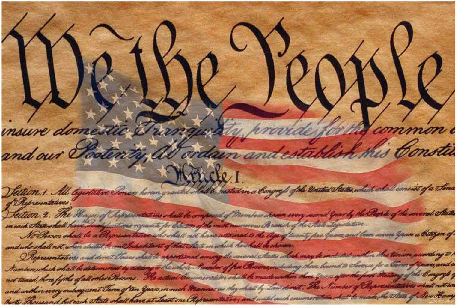 The Preamble- Small Wall Art In Multicolor