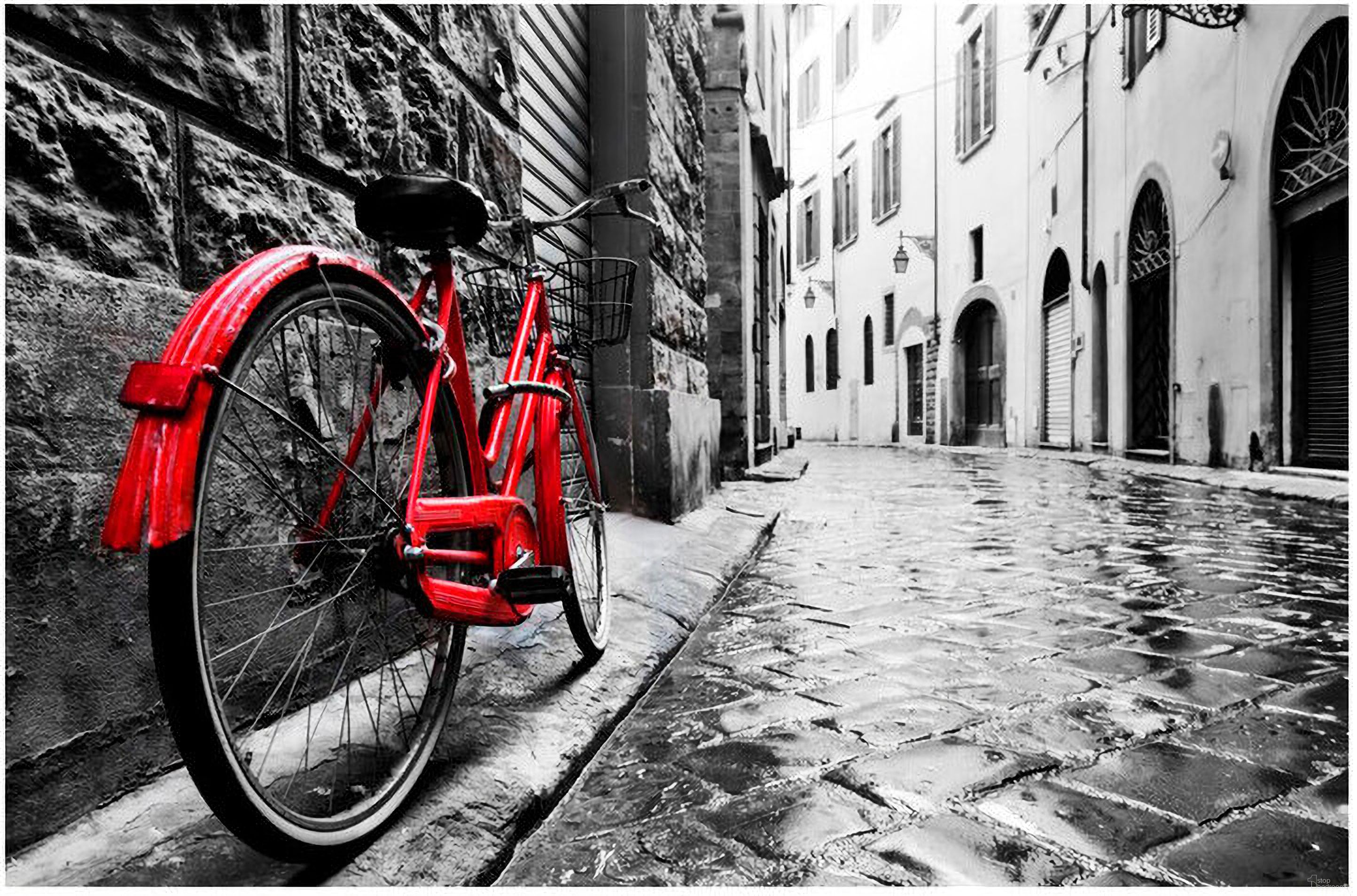 The Red Bike Wall Art In Multicolor