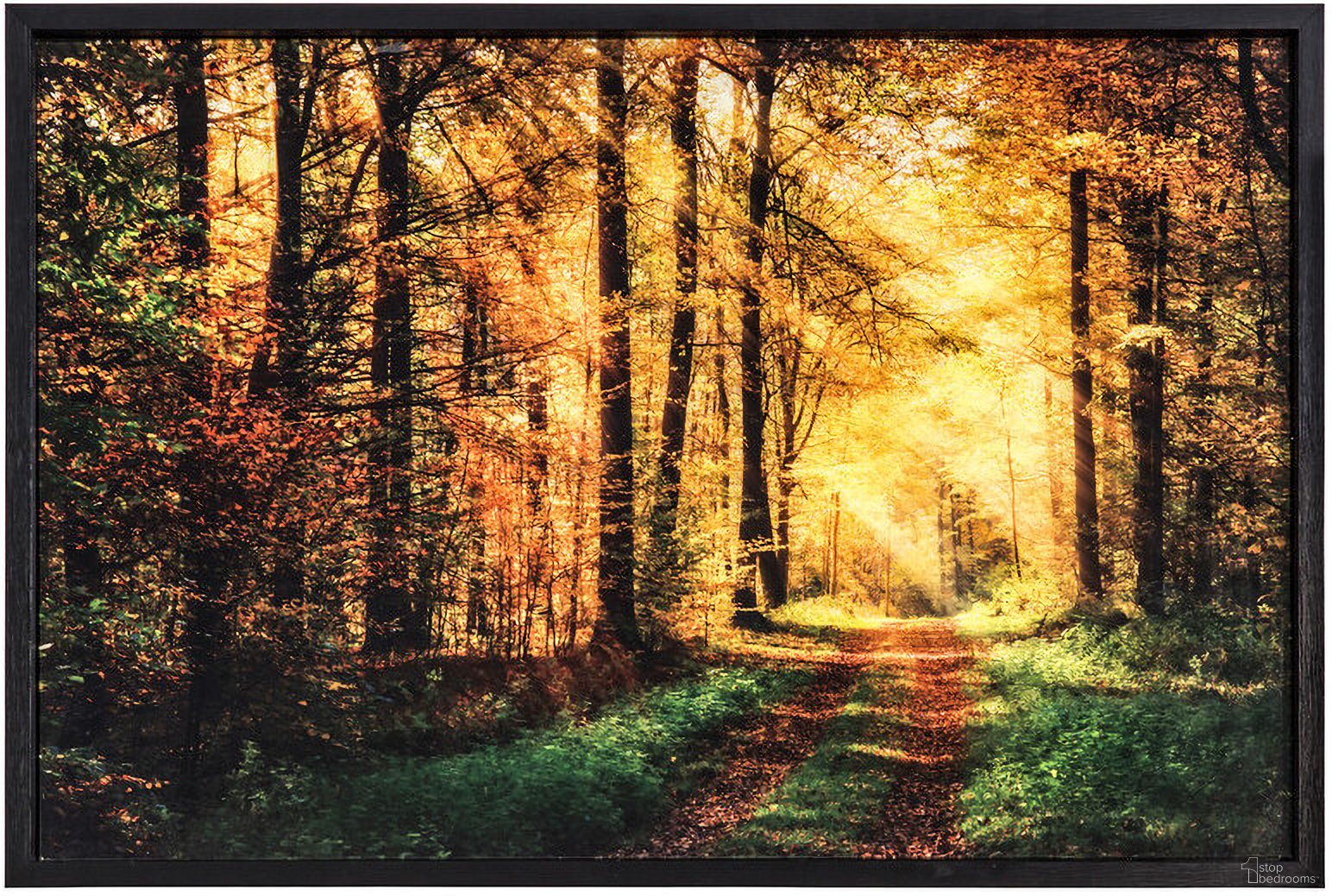 The Road Traveled Wall Art In Multicolor