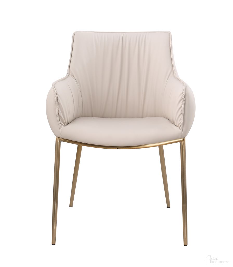 Tracy Arm Chair - Set of 2
