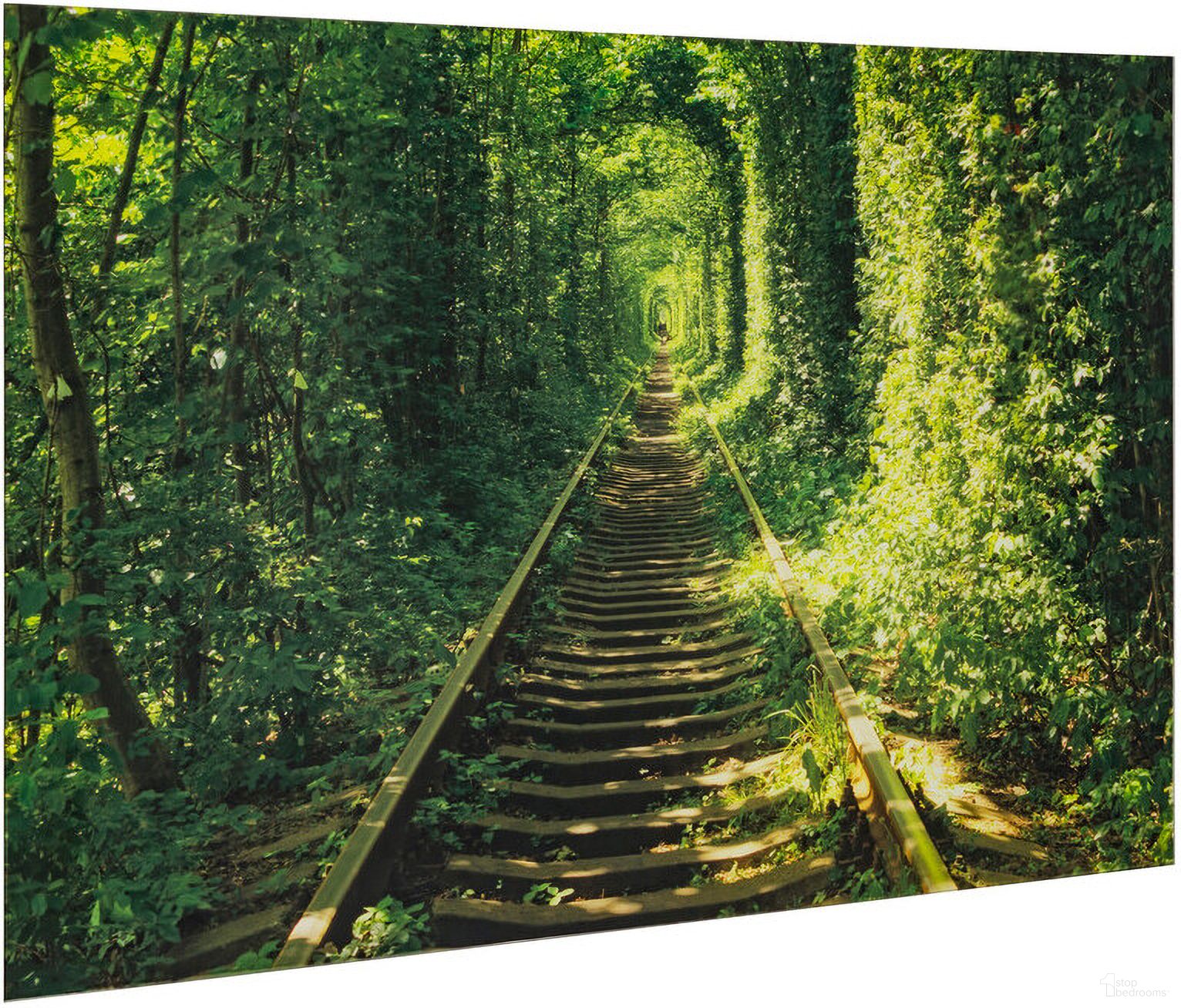 Yosemite Home Decor Tunnel Of Love Wall Art