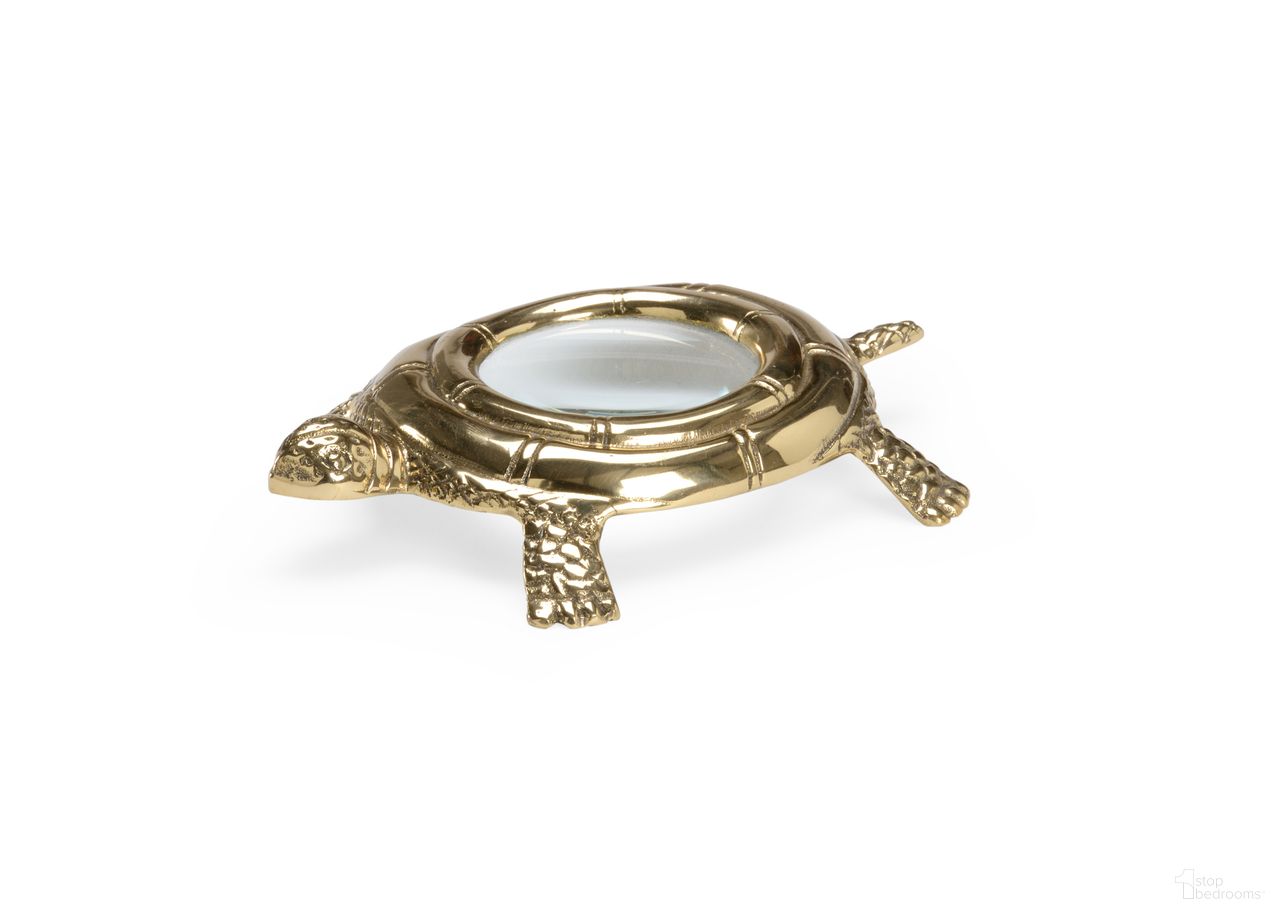 Turtle Magnifier In Clear and Gold